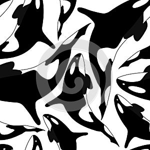 Seamless pattern of Whale Orca