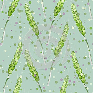 Seamless pattern of wheat