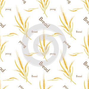 Seamless pattern of wheat and bread photo