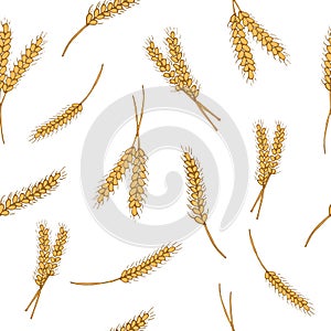 seamless pattern wheat ears on white background