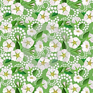 Seamless pattern with white apple tree flowers.