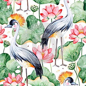 Seamless pattern on white background with water lilies and black crowned crane