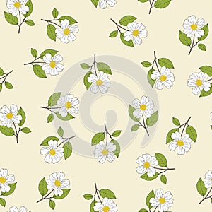 Seamless pattern with white camellia flowers