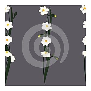 Seamless pattern with white daffodil flowers on a gray-blue background