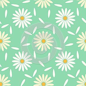 Seamless pattern of white daisies chamomile and white petals on turquoise background.