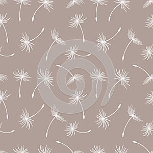 Seamless pattern, white dandelion fluffs on a beige background. Print, background, textile, vector