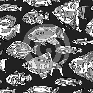 Seamless pattern with white fish isolated on a black background. Illustration of underwater life.