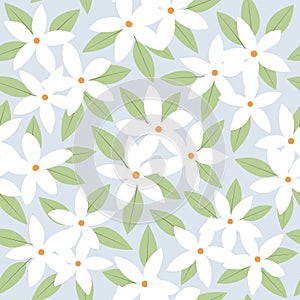 seamless pattern white jasmine flower with green leaf on soft blue background vector