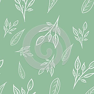 Seamless pattern with white outline branches and leaves on minty green background. Doodle pattern. Spring/ summer print. Packaging