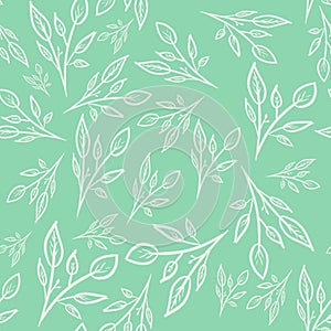 Seamless pattern with white outline branches and leaves on minty green background. Spring/summer print. Packaging, wallpaper, text