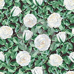 Seamless pattern with white roses and green leaves on black background. Watercolor illustration. Can be used for gift