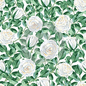 Seamless pattern with white roses and green leaves on white background. Rustic style. Watercolor illustration. Can