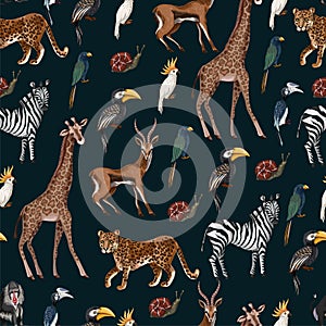Seamless pattern with wild animals such as zebra, parrot, toucan, monkey, giraffe and antilope. photo