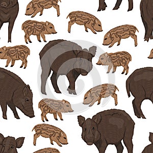 Seamless pattern with Wild boar Sus scrofa. Males, females and piglets of a common wild pig