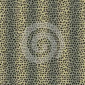 Seamless pattern of wild cat fur