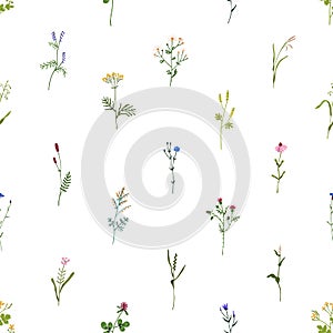 Seamless pattern with wild flowers. Botanical background with repeating floral print. Spring blooms, herbal plants