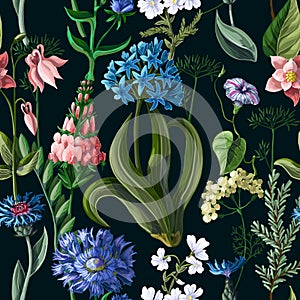 Seamless pattern with wild flowers on a dark background. Vector illustration.