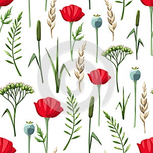 Seamless pattern with wild flowers and grasses. Vector illustration.