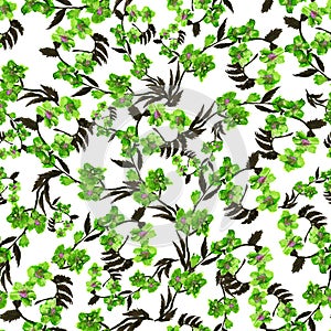 Seamless pattern wild green flower and leaves on white background. Watercolor floral illustration. Botanical decorative element.