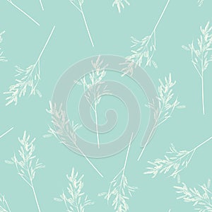 Seamless pattern with wild herbs and grasses.Thin delicate lines silhouettes of different plants.