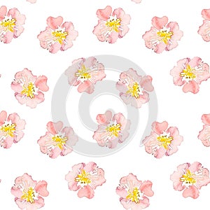 Seamless pattern wild pink roses flower. Watercolor floral illustration. Botanical decorative element. Flower concept