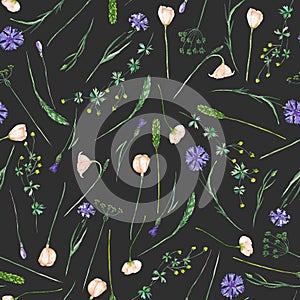 Seamless pattern with wildflowers, eustoma and cornflowers