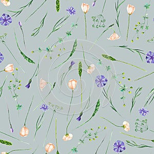 Seamless pattern with wildflowers, eustoma and cornflowers