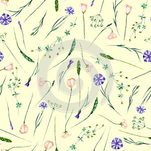 Seamless pattern with wildflowers, eustoma and cornflowers