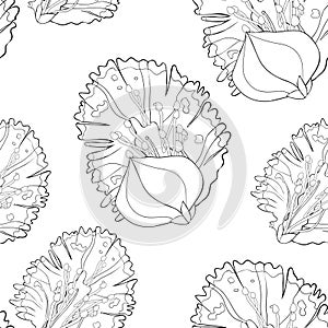 Seamless pattern willow coloring of flower spring. vector ill