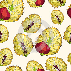 Seamless pattern willow of flower spring. vector illustration