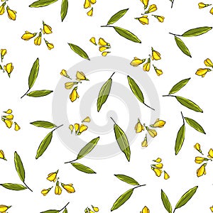 Seamless pattern of yellow clover flowers with leaves