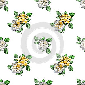 Seamless pattern. Yellow and cream large roses, graceful rose petals.