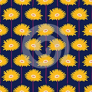 Seamless pattern with yellow gerbera flowers on a dark blue background