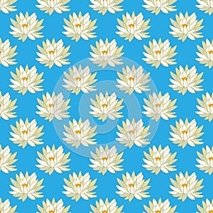 Seamless pattern with Yellow or Mexican waterlily Nymphaea mexicana