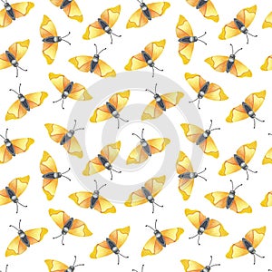 Seamless pattern with yellow, orange butterflies arranged chaotically on white background. Abstract design photo
