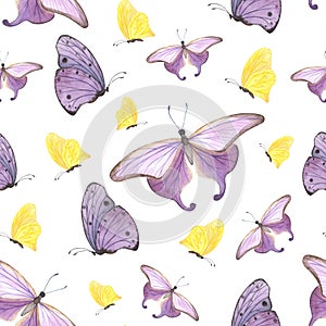 seamless pattern yellow and purple butterfly isolated on white. Watercolor hand drawn insect llustration for design