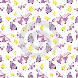 seamless pattern yellow, purple butterfly isolated on white. Watercolor hand drawn insect llustration for design