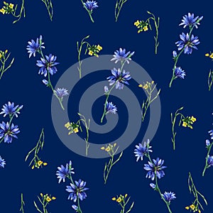 Seamless pattern with yellow rocket and blue chicory flowers.