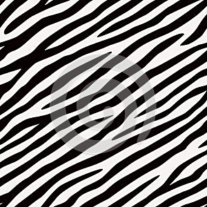 Seamless pattern Zebra. Black and white colors.