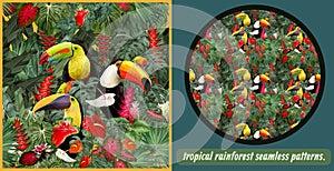 Seamless patterns Amazon tropical rainforest and toucan birds