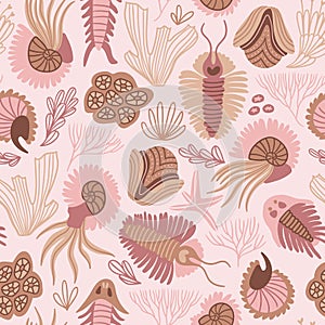 Seamless patterns design for fabric or wrap paper. Chambered Nautilus Nautilus Pompilius and other shells isolated on pink backg