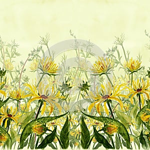 Seamless patterns. Eco-print. Meadow herbs and flowers on a watercolor background.