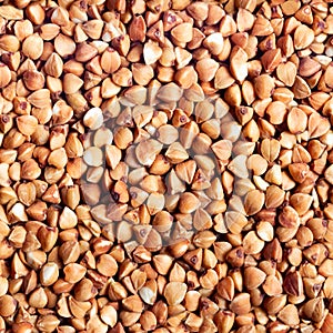 Seamless photo texture of buckwheat