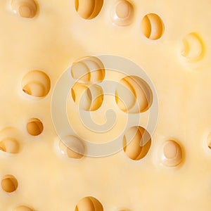 Seamless photo texture of cheese