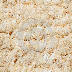 Seamless photo texture of rice bread