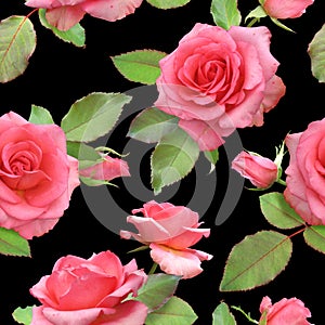 Seamless photorealistic pattern of pink-coral roses on a black background