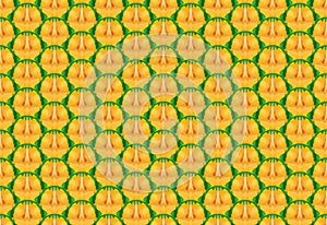 Seamless pineapple texture and pattern, vector