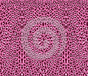 Seamless pink leopard pattern