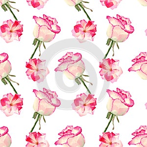 Seamless pink roses pattern. Watercolor floral background  flower and green leaf for textile, wallpapers, wedding decor