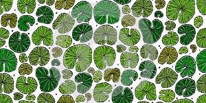 Seamless pond texture with lily pads leaf, top view for your design